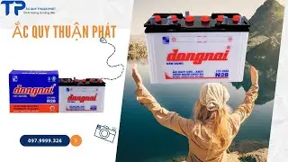 Ắc quy Đồng Nai N28 12V-28AH chuy&ecirc;n d&ugrave;ng thắp s&aacute;ng, chạy oxy c&aacute;, thiết bị 12V..v.v....