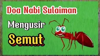 Doa Nabi Sulaiman Mengusir Semut yang Terdapat dalam Al-Qur'an