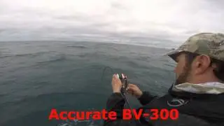 BV 300 white island king fish
