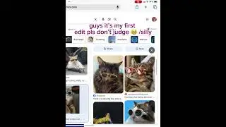 [THIS STUPID TITLE KEEPS BUGGING] #shortsfeed#shorts#cats#joke#edit#e#idk#lol#youtubeshorts#capcut