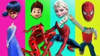Wrong Heads Spiderman Ladybug Frozen Elsa Anna Colors Compilation Finger Family Rhymes Songs