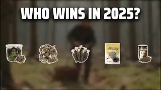 The Top 5 Best Morel Mushrooms in 2025 - Must Watch Before Buying!