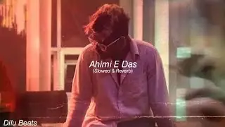 'අහිමි ඒ දෑස්' Ahimi E Das / Slowed+Reverb | Dilu beats |  #AhimiEDas @DILUBeats 