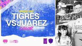 COLOR | TIGRES VS JU&Aacute;REZ | J15 | CLAUSURA 2025 /  STEFFI MORALES - Canal 53 UANL