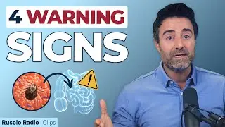 4 Warning Signs You Have A Vector Borne Infection
