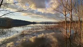 Silent Tuscany Fields - Relaxing Drone Video
