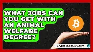 What Jobs Can You Get With An Animal Welfare Degree? | Animal Care Jobs