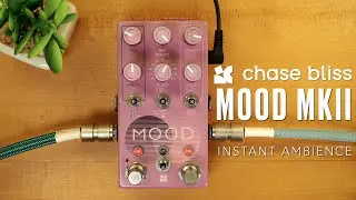 Chase Bliss // MOOD MKII Instant Ambience (Stereo Demo)