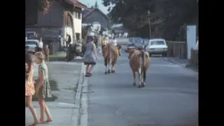 Garmisch-Partenkirchen 1973 archive footage