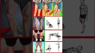 The ABSOLUTE BEST Leg WORKOUT for TONED Muscles