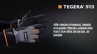 TEGERA&reg; 9113 Product Education (SE)