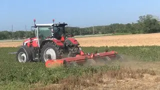Acadiana rice farmers face tough times as harvest season gets underway