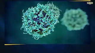 New MIT mRNA therapy restores immune defenses lost with age