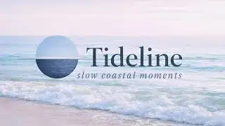 Beach Walking ASMR in Los Angeles (4K 60fps) 🌊 Ocean Waves, Seashells & Shore Sounds | Tideline