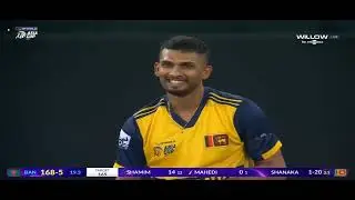 Tigers Roar 