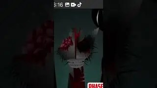ЕТА ВСЕХ PHASE 7