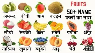 50 flowers 💐🌹 name 📛|english words meaning | flowers 🌺🌹 name english to hindi 
