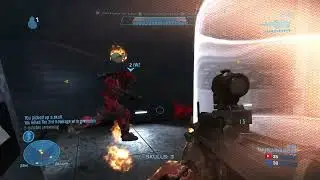 Skullstopper