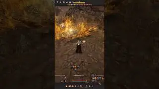 Why I Love Scholar | BDO
