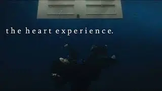 Billie Eilish - BIRDS OF A FEATHER (The Heart Experience. Remix)