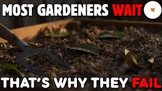 Your Garden Year Starts Now, Not in Spring