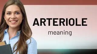 Arteriole &mdash; what is ARTERIOLE meaning