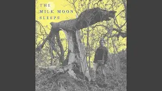 Over Shipping Routes