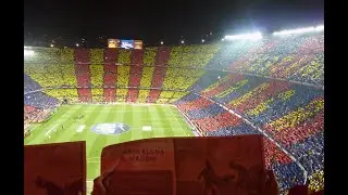 29 November 2010