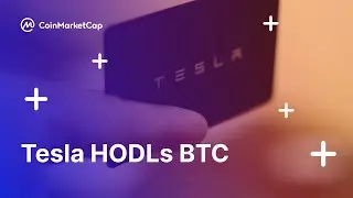 July 27, CoinMarketCap Daily: Amazon Denies Crypto Payments! Tesla has 💎🤲!