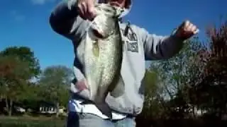 Spring Spinnerbait Tips For Bass