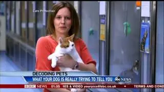 Pet signal: Decode Dog Facial Emotions