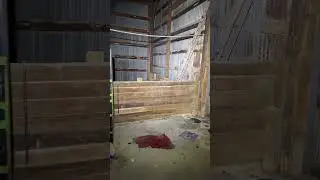 HAUNTED WAREHOUSE 