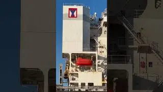 YANG MING Container Ship