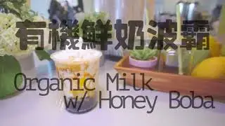 Mango Rabbit Organic Milk w/Honey Boba