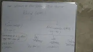 BLOOD Relation ##Study##Teaching Point Chennal ko Likes 🤙##Subcribe kre🤙🤙