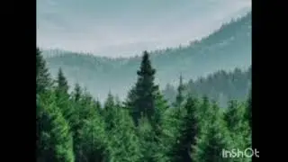 It disappeared (im trying to bring it back)