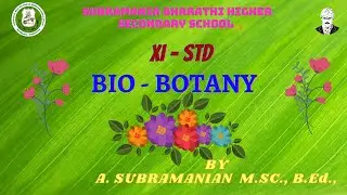 XI STD - BIO BOTANY - CHAPTER : 4 - REPRODUCTIVE MORPHOLOGY - ANDROCEIUM ( ANTHER TYPE )