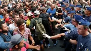 Правда о сирийских беженцах в Швеции, Мои мысли