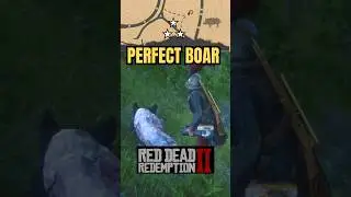 RDR2: Идеальная охота на кабана | #rdr2 #reddeadredemption2 #gaming