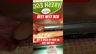 The BEST nesting boxes for your chickens and sanity #chicken #chickencoop #texas #farming #farmlife