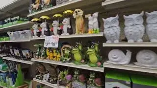 США. На осмотр к доктору. Магазин Big Lots и американский секондхенд.