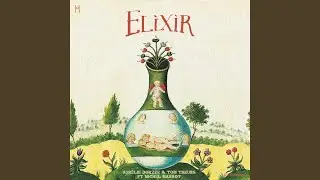 Elixir