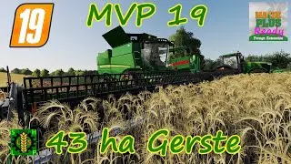 LS19 | MVP 19 | Forage Extension | 43 ha Gerste [HD]