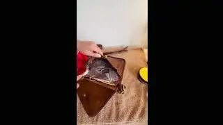 Restoring Vintage Coach Rambler