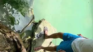💧 Kawasan Falls &ndash; Badian, Cebu | A Journey Into Turquoise Paradise 🌿