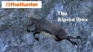 theHunter - Alpine Ibex
