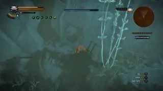 The Witcher 3 Missable loot in: Time and space quest, underwater area.