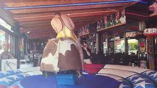 Crazy 🤪 man riding bull in benidorm funny video#visitbenidorm#bullriding#rodeosport #redlionbenidorm