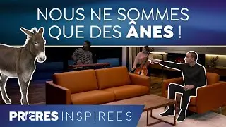 Nous ne sommes que des ânes ! - Prières inspirées - Jérémy Sourdril
