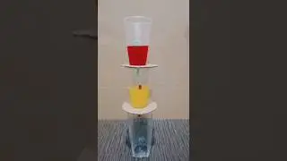 How a siphon works🤔Physics #experiment #explorephysics